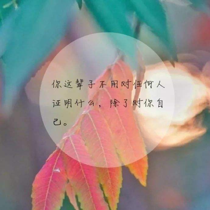 突然想发个说说的句子